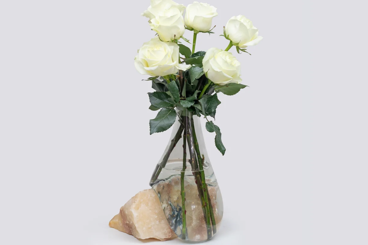 Product Sample 12 - Image 2