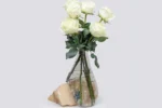Product Sample 12 - Image 2